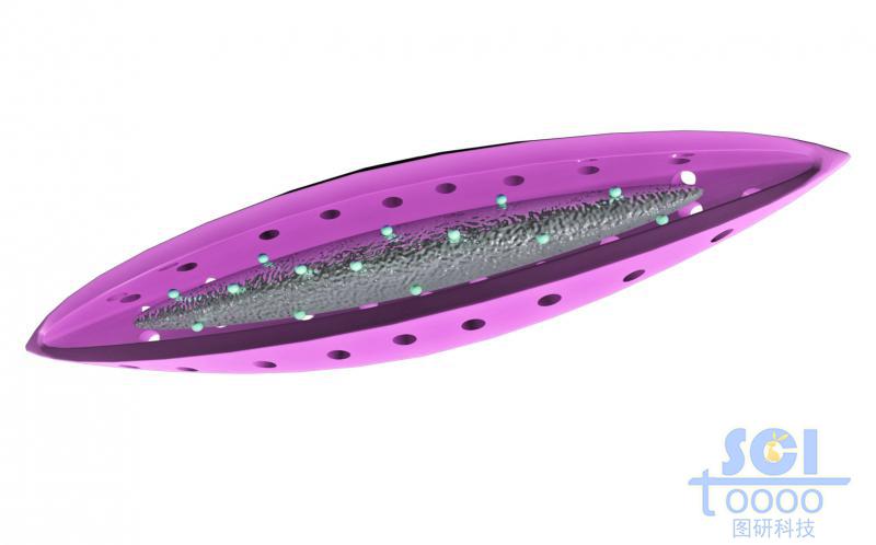 帶孔的納米磁珠半剖面結(jié)構(gòu)