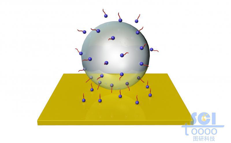 表面帶活性小基團的球形液滴