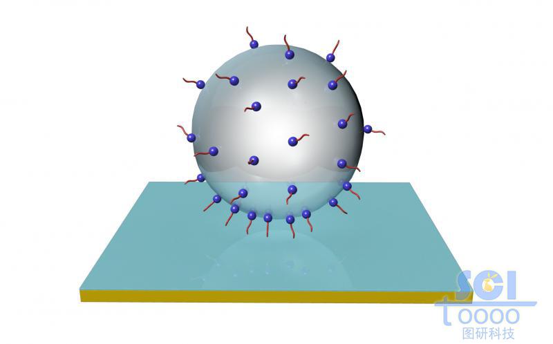 表面帶活性小基團的球形液滴