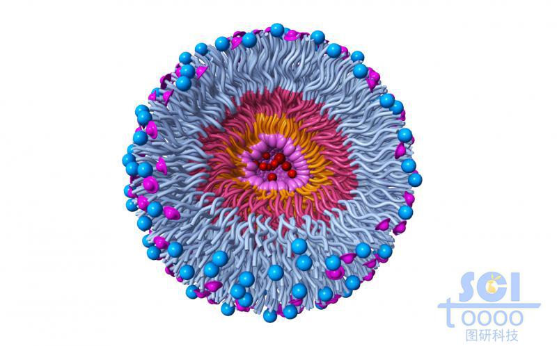 高分子鏈段向心團(tuán)聚形成的納米藥物/納米粒子
