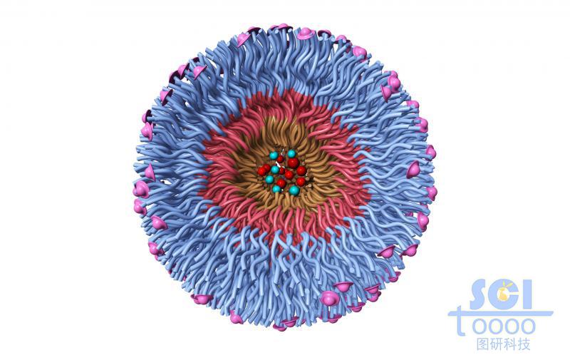 高分子鏈段向心團聚形成的納米藥物/納米粒子