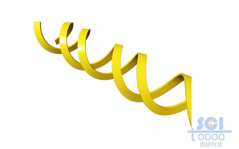 不帶堿基對的DNA雙螺旋鏈