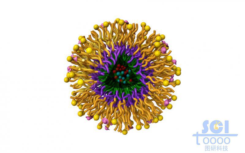 高分子鏈段向心團聚形成的納米藥物/納米粒子