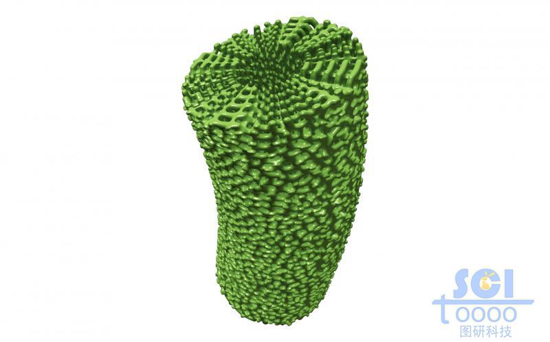 管狀的微米結(jié)構(gòu)及墨烯無縫連接而成的，管壁多孔的管狀微米結(jié)構(gòu)