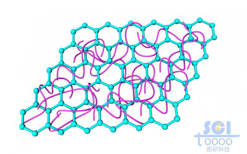 標(biāo)準(zhǔn)四邊zigzag邊的石墨烯片上纏繞高分子鏈段