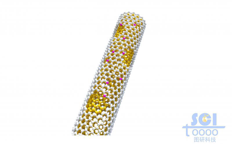 表面有缺陷的雙層碳管