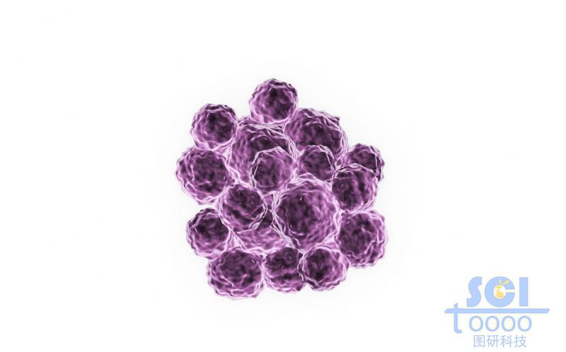 癌細(xì)胞團(tuán)簇