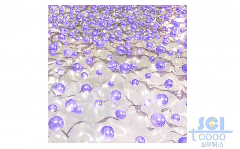 帶晶核的納米片