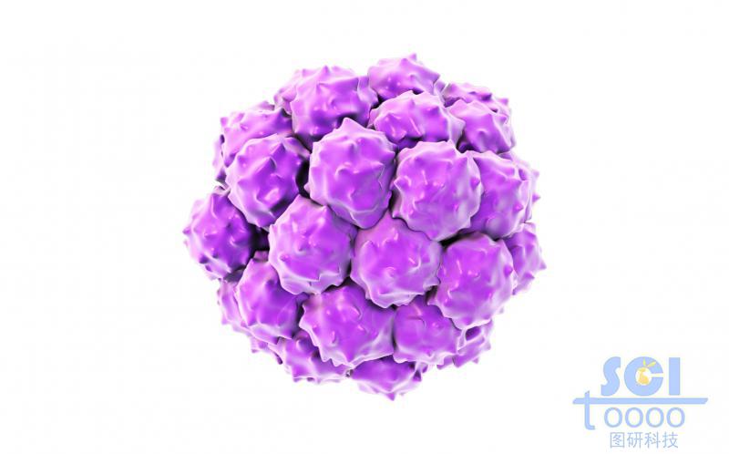 癌細(xì)胞團(tuán)簇