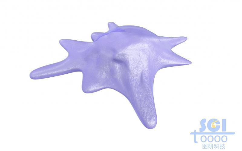 帶觸角的細胞單體