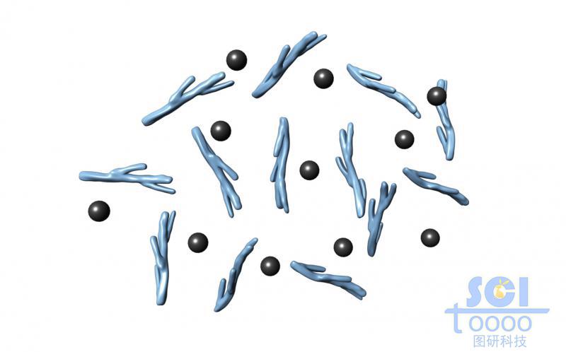 分散的金屬顆粒與高分子鏈段