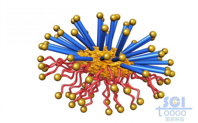 帶兩種不同屬性高分子鏈段的納米藥物