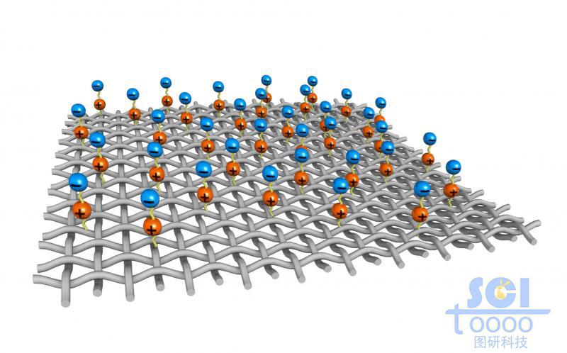 表面附著帶+/-電荷的縱橫交錯的網(wǎng)狀膜結(jié)構(gòu)