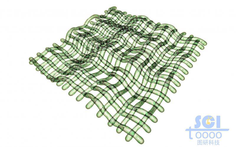 縱橫交錯的網(wǎng)狀膜結(jié)構(gòu)