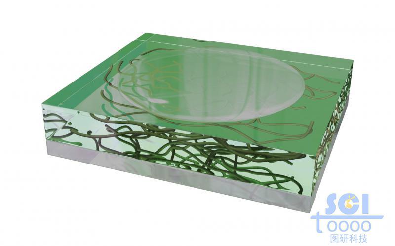 金屬基底板上平攤一層水膜，水膜中浸泡著多跟碳納米管