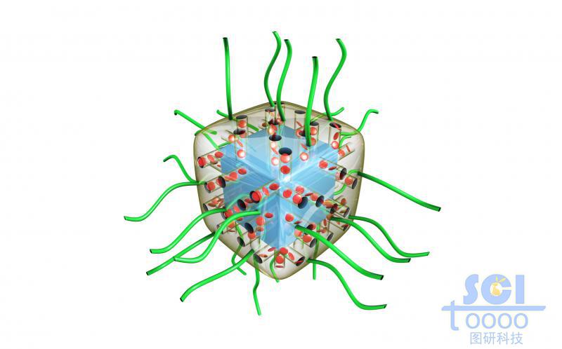 外包裹透明介孔材料的立方體形狀外層有高分子鏈段的納米藥物