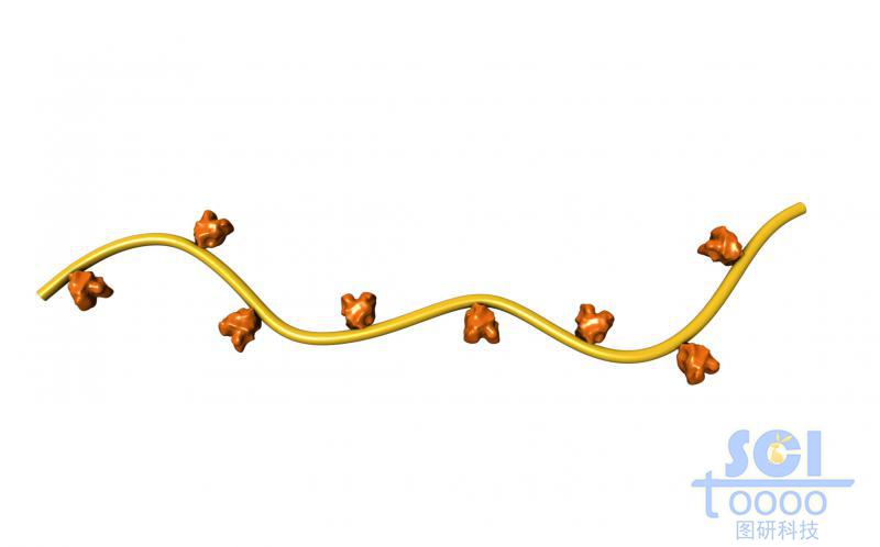 帶功能基團(tuán)的高分子鏈段