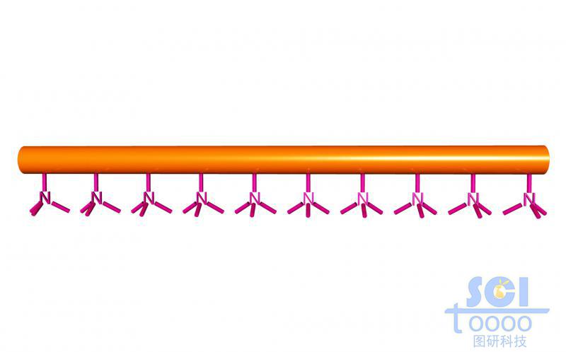 帶小分子基團(tuán)的高分子鏈段模式圖/示意圖