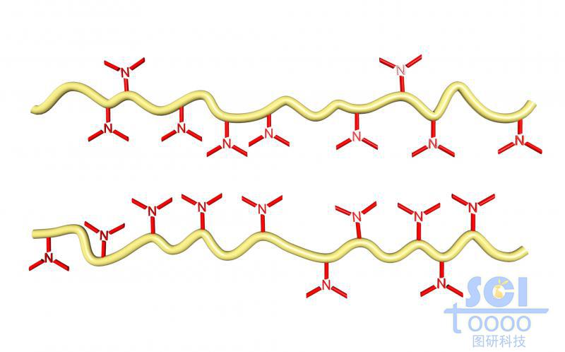 帶小分子基團(tuán)的高分子鏈段模式圖/示意圖