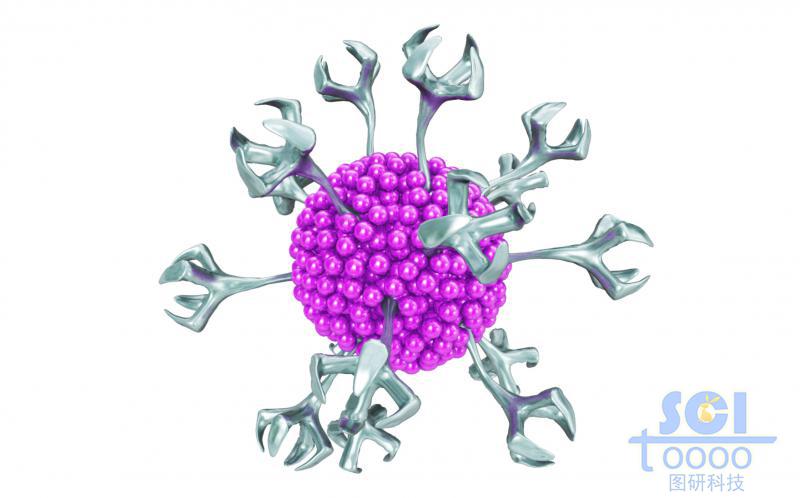 表面帶樹杈狀突起結(jié)構(gòu)的納米藥物