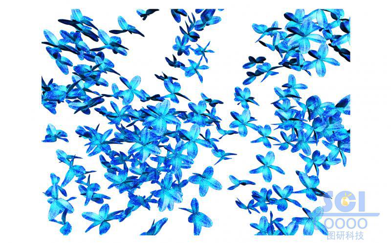 TTC4L-Ag+ 晶體結構