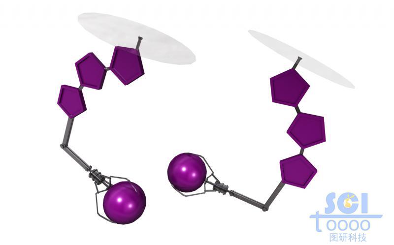 TTC4L分子模式圖