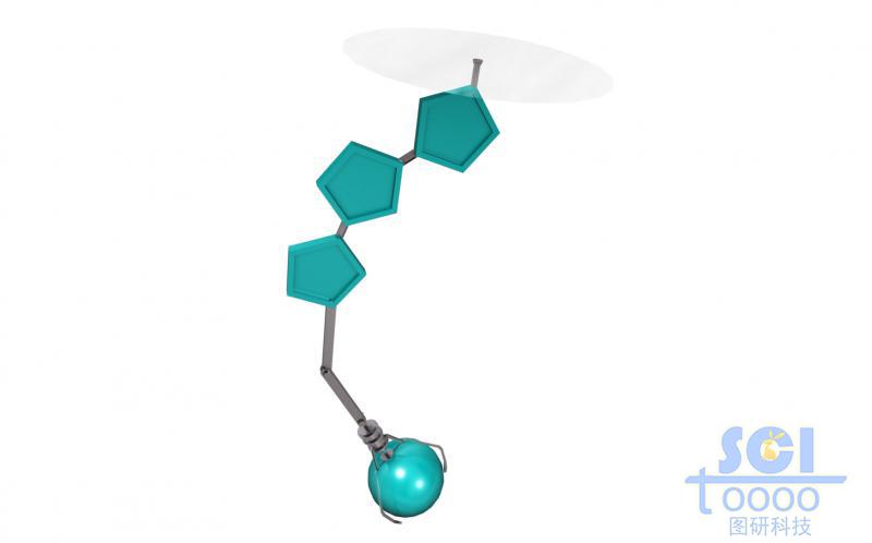 TTC4L分子模式圖
