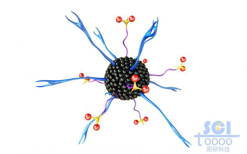 表面帶受體和葉酸小分子的納米碳點/納米材料/納米藥物