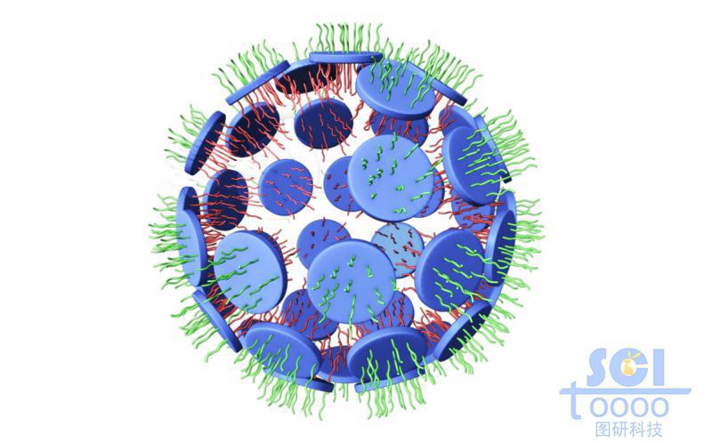 介孔納米片上生長(zhǎng)正反面高分子鏈段/親疏水鏈段聚團(tuán)形成納米球/微球