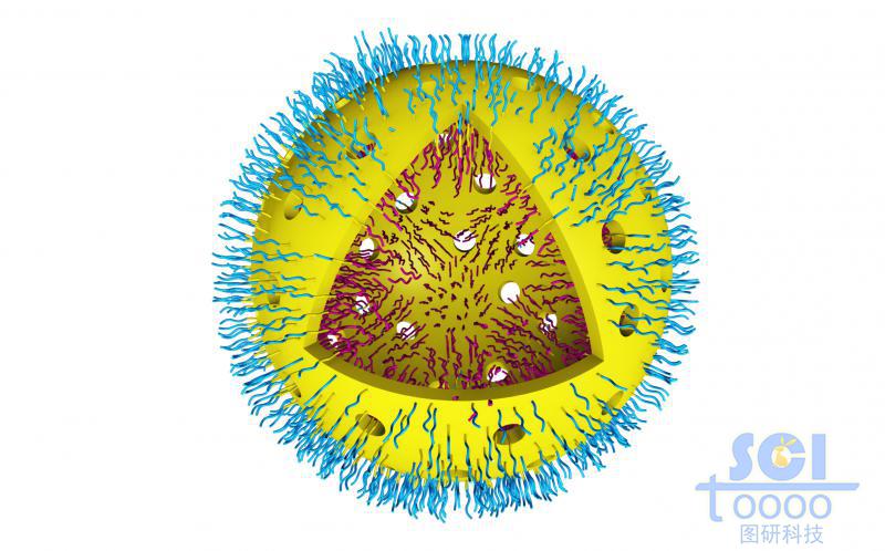 介孔親水鏈段朝內(nèi)疏水鏈段朝外形成的空心球殼
