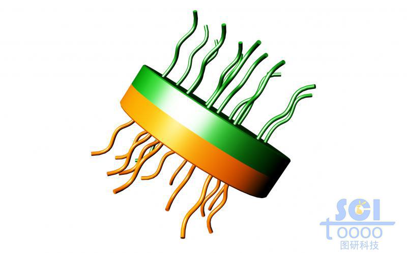 介孔納米片上生長(zhǎng)正反面高分子鏈段/親疏水鏈段