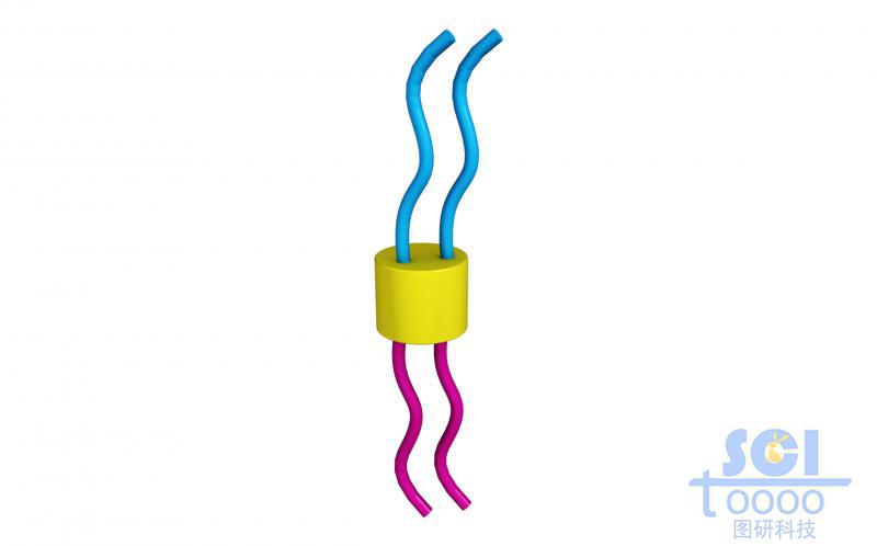 介孔納米片上生長(zhǎng)正反面高分子鏈段/親疏水鏈段