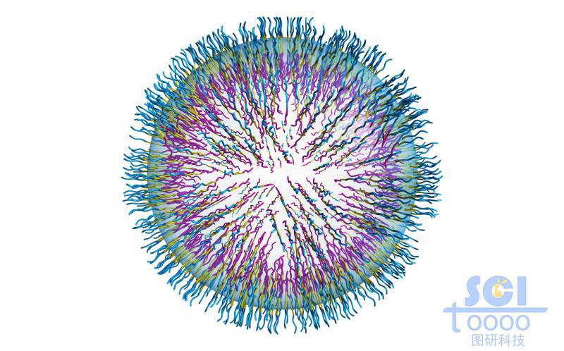 親水鏈段朝內(nèi)疏水鏈段朝外形成的囊泡