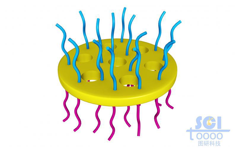 介孔納米片上生長(zhǎng)正反面高分子鏈段/親疏水鏈段