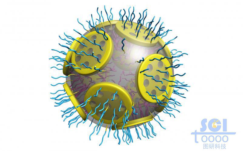 親水鏈段朝內(nèi)疏水鏈段朝外形成的囊泡