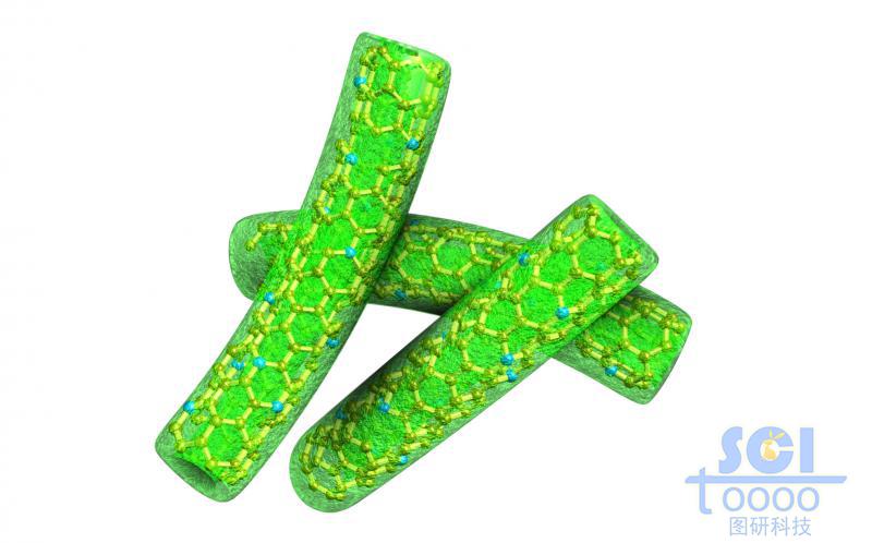 外層包裹硫化合物的彎曲碳納米管