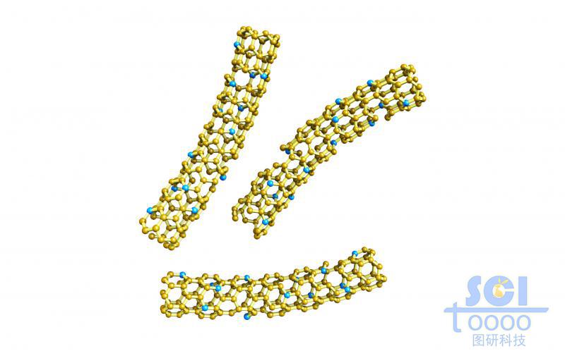 管壁帶原子缺陷的碳納米管