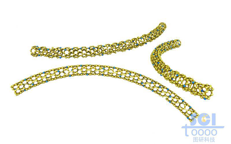 管壁帶原子缺陷的碳納米管