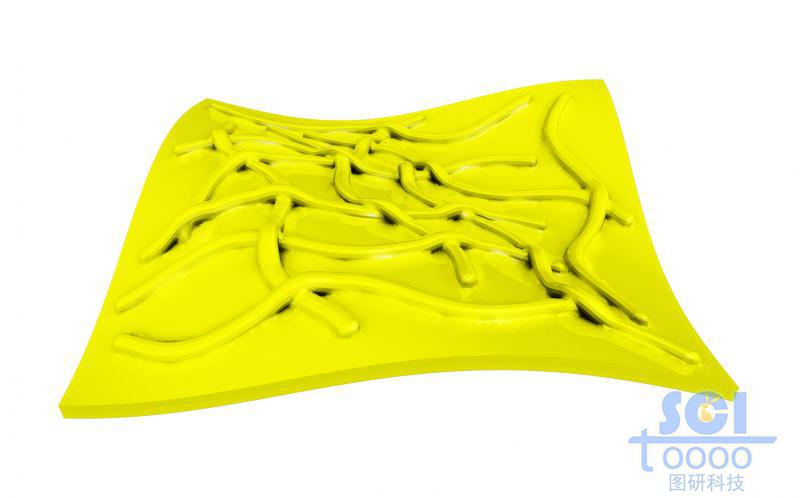 柔性石墨烯表面附著彎曲的碳納米管之后整體包裹化合物層