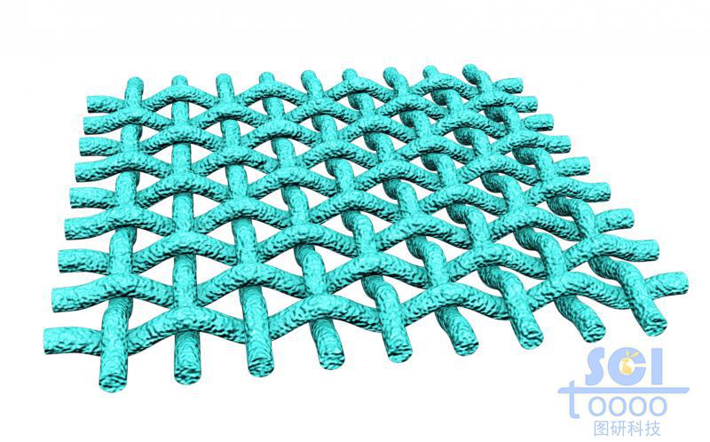 縱橫交錯的網狀膜結構