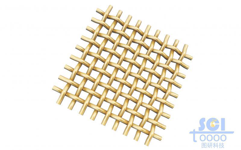 縱橫交錯的網狀膜結構