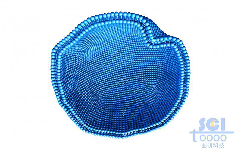 帶內(nèi)吞口的細胞膜結(jié)構(gòu)