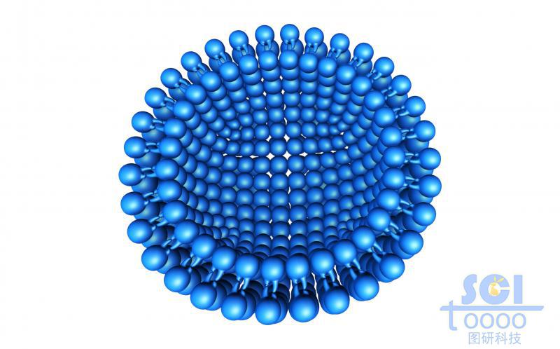 帶磷脂雙分子層的細胞膜