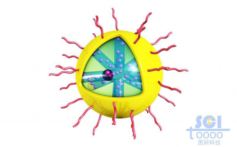 外層修飾高分子鏈段，硫化鉬/金屬化合物膜包裹的，孔道內(nèi)帶藥物結(jié)構(gòu)的放射狀介孔球