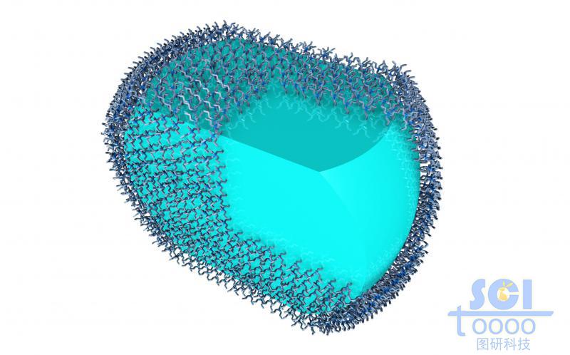 實心高分子聚合體表面附著小分子基團(tuán)