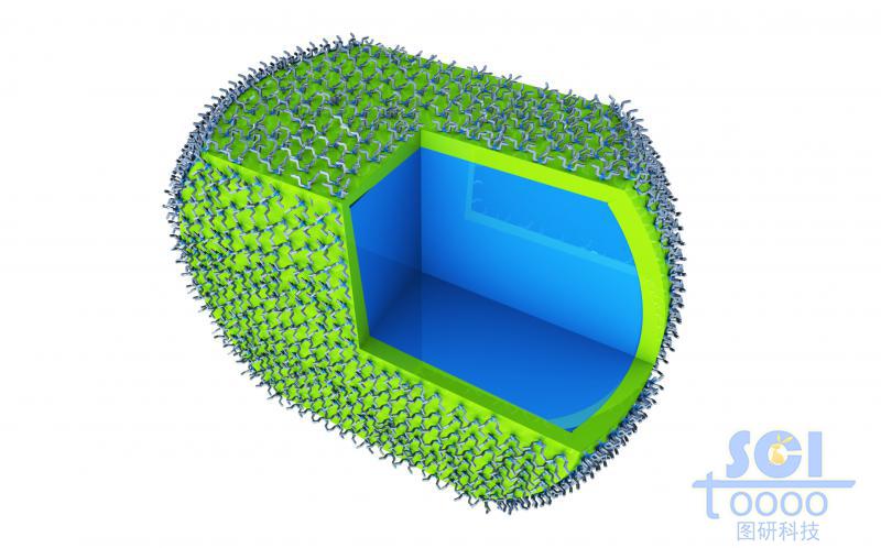 八分之一切口的內(nèi)部實心的高分子聚合體外層分部小分子基團(tuán)