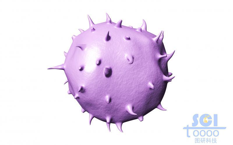 帶觸角的細胞單體