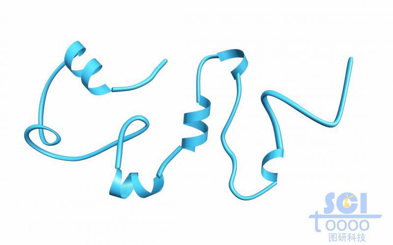 蛋白質(zhì)結(jié)構(gòu)
