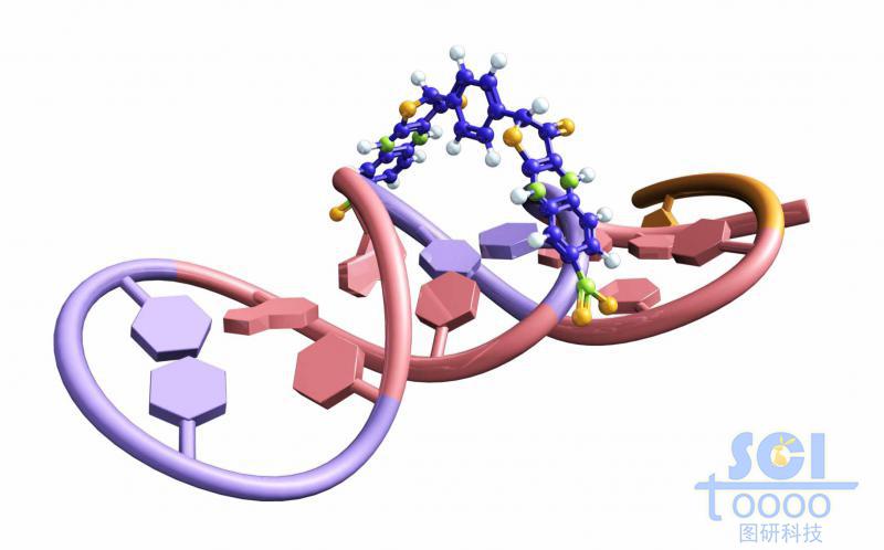 帶小分子卡環(huán)的單鏈RNA結(jié)構(gòu)
