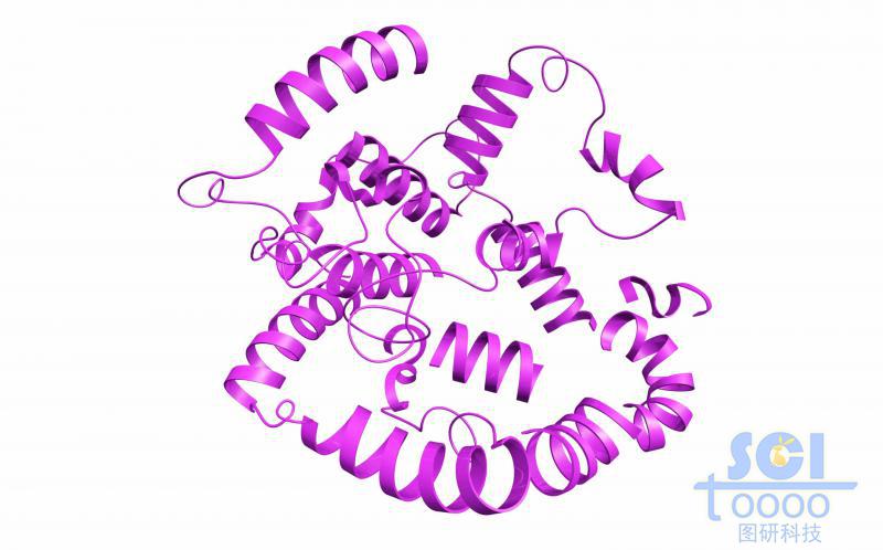 蛋白質(zhì)結(jié)構(gòu)